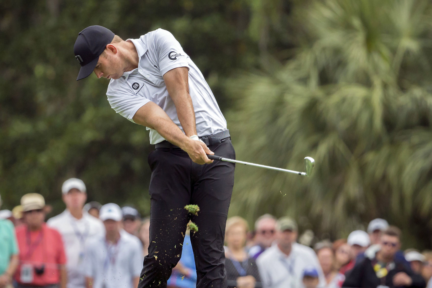 RBC Heritage Golf